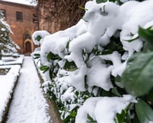 Wirydarz w Muzeum Architektury we Wrocławiu